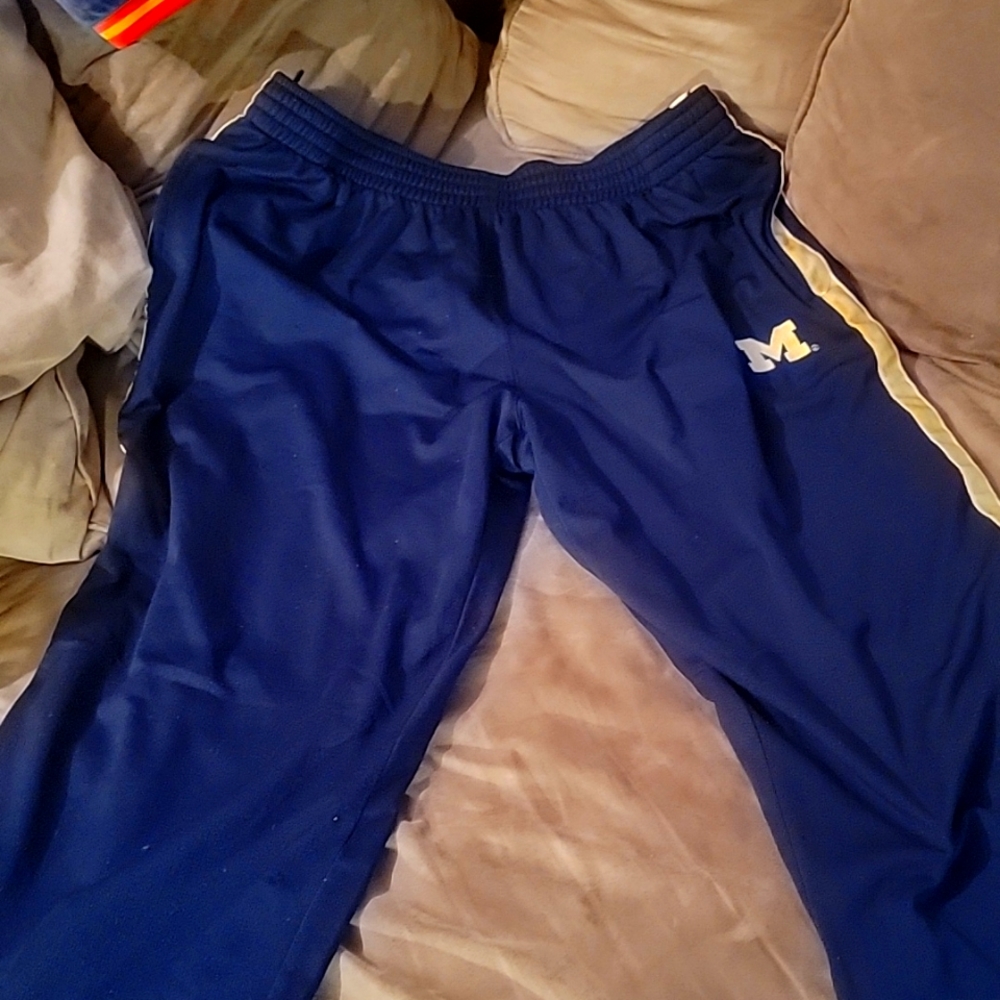 Michigan sweat pants